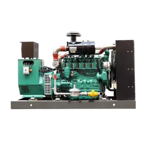 Three Phase Natural Gas Genset Power Generation Equipment