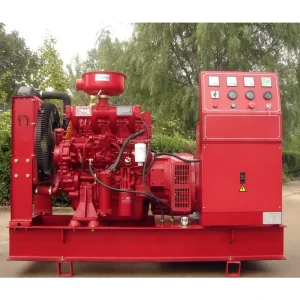 Ultra quiet Diesel Generator Sets 20kW 25kW 50kW 100kW 20kVA 25kVA 50kVA Low Noise Reliable