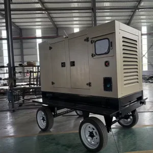 Urban Construction 50kva 3 Phase Super Silent Diesel Generator 50 Kva Diesel Generator