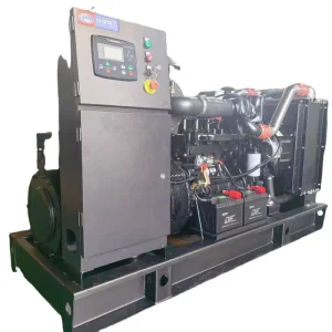 Water Cooling Open Frame Diesel Generator DC Electric Start Control High Efficiency Multi Voltage Multifunctional Control System