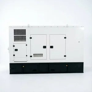 Water Cooling Prime Power Diesel Generator High Efficiency Remote Control 50 60Hz Backup Generator Set