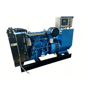 Weichai 50KW Genset Factory Supply Energy Saving Reliable Performance Emergency Power Equipment
