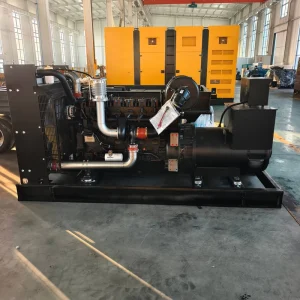 Weichai Powered 375kVA 300kW 380V 50/60Hz Super Silent Stamford Open Frame Canopy Type Water Cooled Diesel Generator