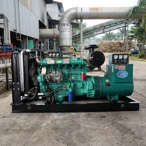 Weifang Ricardo 150KW 187.5KVA 3 Phase 50hz 60hz diesel Generator Set Euro 3 Certified Guatemala Sugar Millfactory Direct Sale