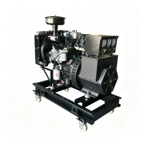 Weifang Ricardo 15KW 18.75KVA 3 Phase 50hz Diesel Generator Set Euro 3 Certified Cape Verde Coastal Seafood Stall Damp Proof