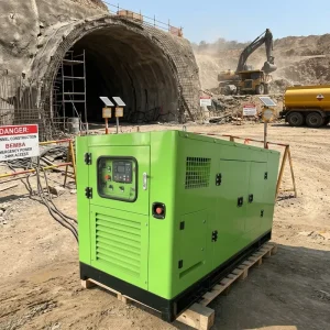 Weifang Ricardo 50KW 62.5KVA Single Phase Silent 50hz diesel Generator Set Euro 3 Certified Chad Rural Road Construction Site