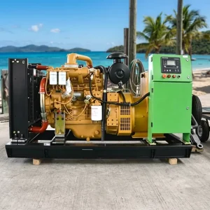 YUCHAI 60KW 75KVA Single Phase 3 Phase 50HZ Open Frame Silent Optional diesel Generator Set for Island Area Complete Accessories