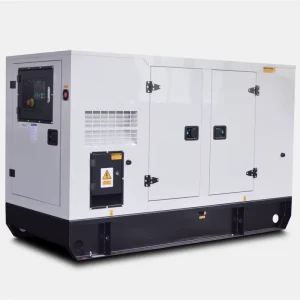 Yangdong 60hz Three Phase Prime 20kw 25kva Diesel Generator Set with Yangdong Engine