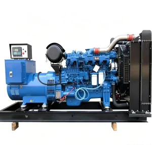 Yuchai YC6MK460L-D20 338KW 420KVA 50Hz Auto Start ATS 1500/1800 RPM Open Frame Type 50/60Hz 110V 220V 380V 400V Low Oil