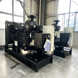case for Cummins Engine NT855 G11 200kW 250kVA diesel Generator with Remote Start Workshop Standby Generator