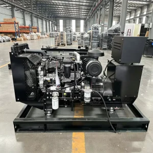 case for Perkins Engine 403D 11G 8KW 10KVA Single Cylinder Diesel Dynamo Generator Small Silent Emergency Power Generator